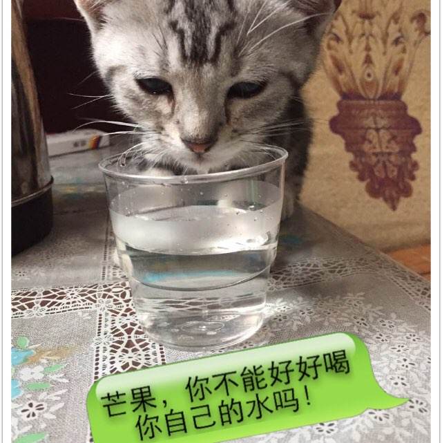 大学毕业后还能获得学位证书吗